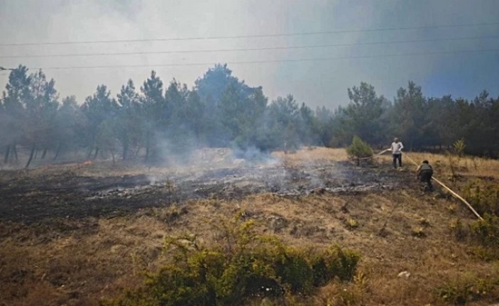 Bursa Büyükorhan'da yangın kabusu