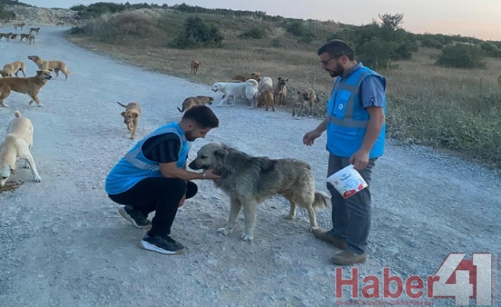 Kocaeli Gençlik Hareketi Derneğinden anlamlı etkinlik!