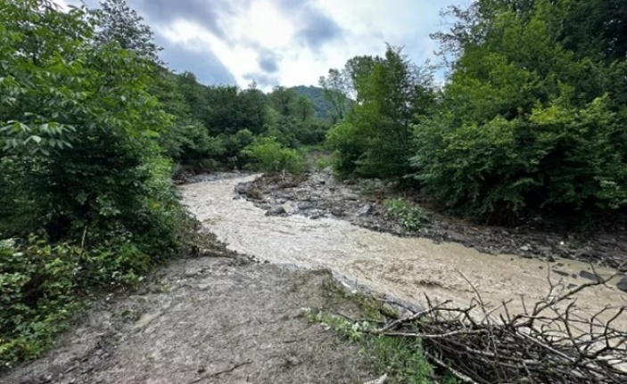 Ordu'da üç ilçeyi sel vurdu: 1 ölü