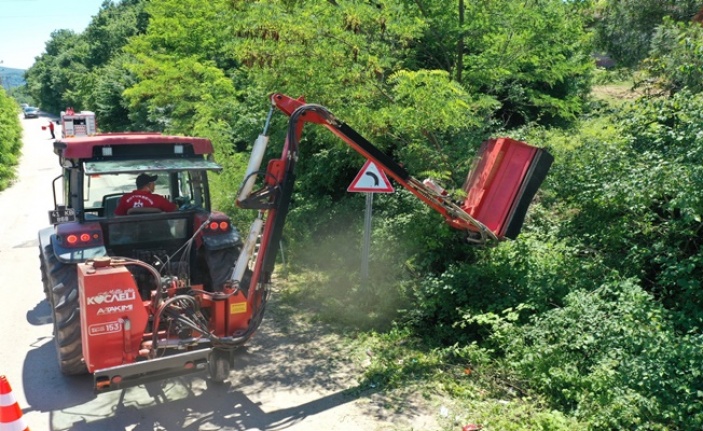 Yol kenarındaki otlar ve çalılar temizleniyor