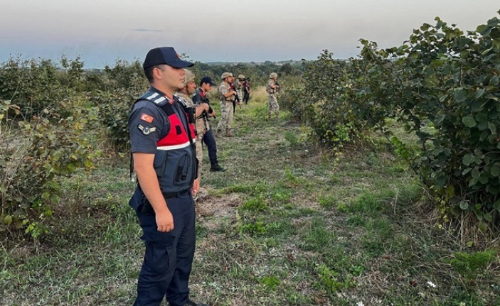 Fındık hırsızlarına karşı Jandarma nöbette!