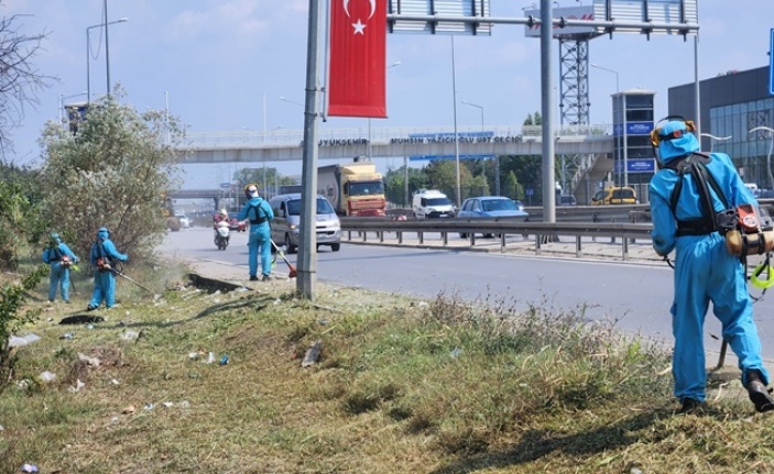 Park ve bahçelerde sonbahar temizliği