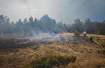 Bursa Büyükorhan'da yangın kabusu