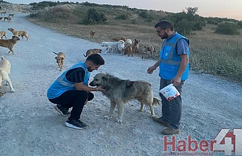 Kocaeli Gençlik Hareketi Derneğinden anlamlı etkinlik!