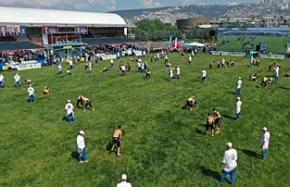 Kocaeli’de yiğitler er meydanına çıkıyor