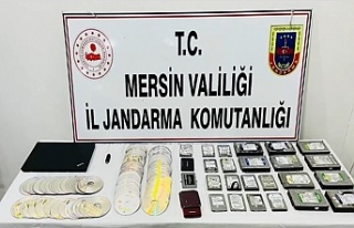 19 İlde Sibergöz operasyonu: 65 gözaltı