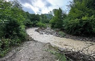 Ordu'da üç ilçeyi sel vurdu: 1 ölü