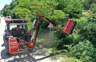 Yol kenarındaki otlar ve çalılar temizleniyor