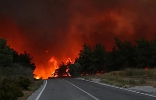 İzmir'de alevler yerleşim yerlerine sıçradı