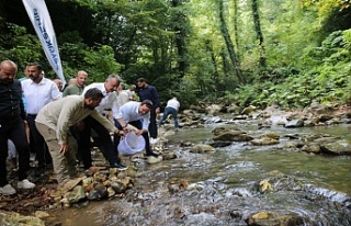 Kirazdere’ye 8 bin adet kırmızı benekli alabalık...